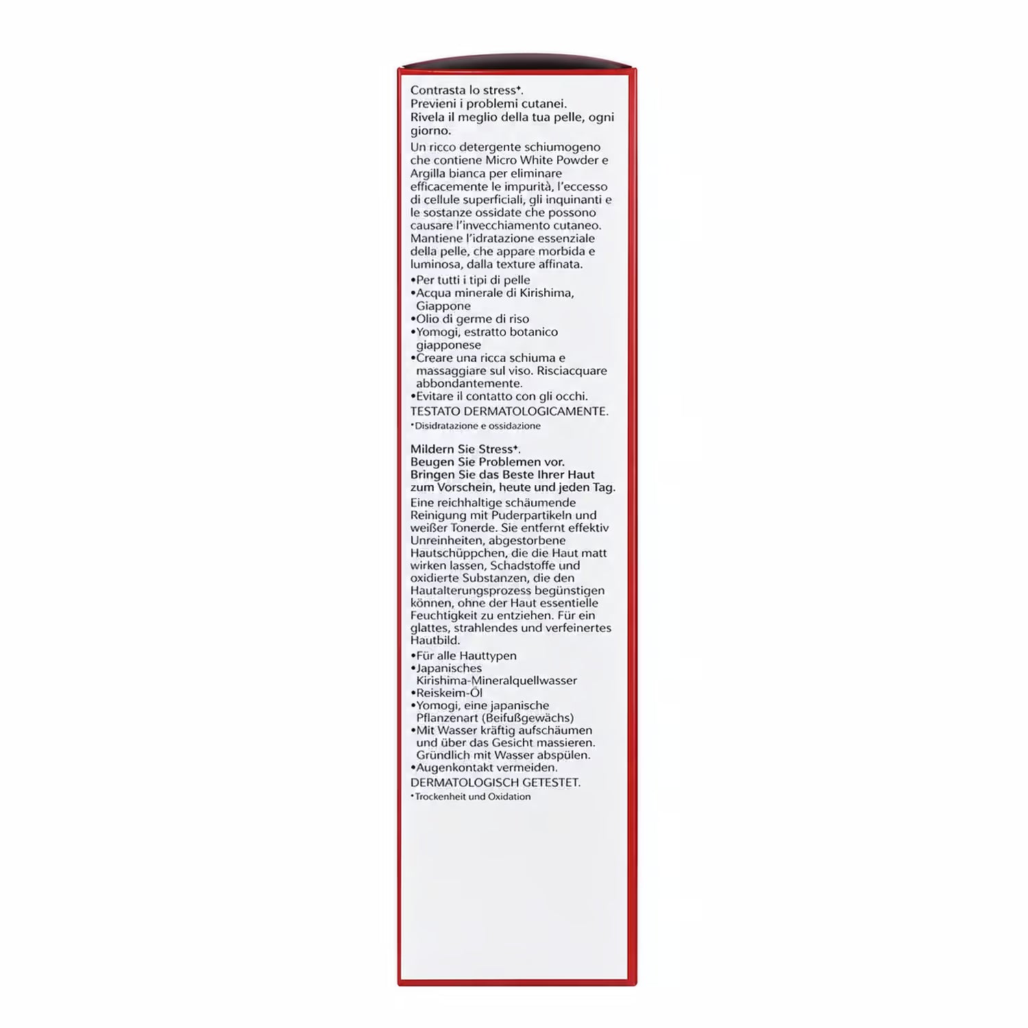 Shiseido Clarifying Cleansing Foam